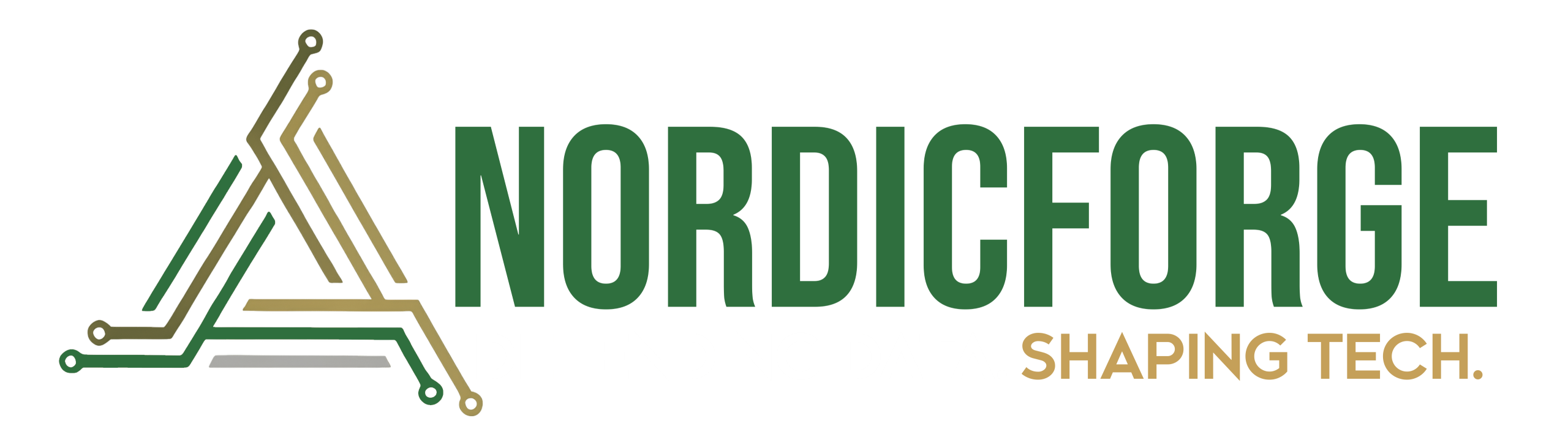 NordicForge – Wisconsin IT & Cybersecurity Solutions